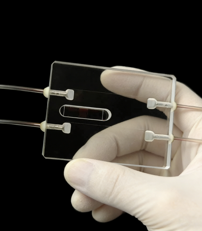 2 Channel Quartz Counting Cell, Spectroscopic Analysis Accessory, Micro-Volume, 0.05mm Optical Path Length, Customizable